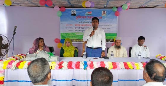 image-here